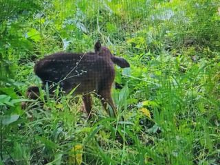 다범님의 자유주제 · 자유게시판 작성글 사진