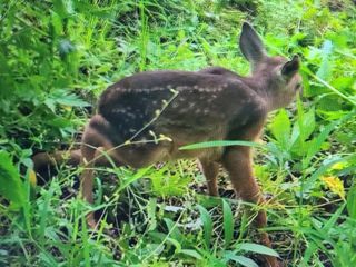 다범님의 자유주제 · 자유게시판 작성글 사진