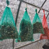 팜모닝 기타작물·자유게시판 게시글 이미지