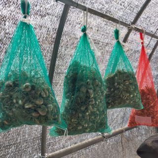 박수연님의 기타작물 · 자유게시판 작성글 사진