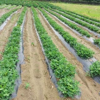 박수연님의 기타작물 · 자유게시판 작성글 사진