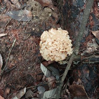 박수연님의 기타작물 · 자유게시판 작성글 사진