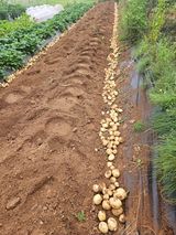 팜모닝 장마 대비 어떻게 하셨나요?·참여 게시글 이미지