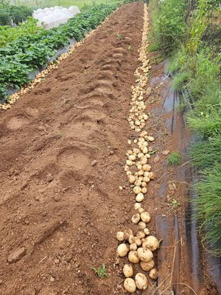 알 수 없음님의 장마 대비 어떻게 하셨나요? · 참여 작성글 사진