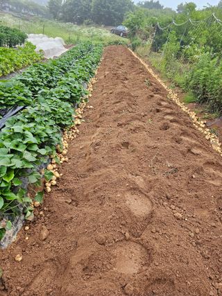 알 수 없음님의 장마 대비 어떻게 하셨나요? · 참여 작성글 사진