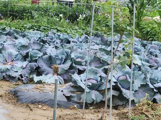 박정하님의 장마 대비 어떻게 하셨나요? · 참여 작성글 사진