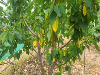 박전규님의 기타작물 · 영농일지 작성글 사진