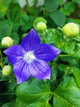 팜모닝 자유주제·자유게시판 게시글 이미지