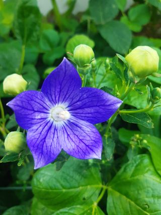 새리님의 자유주제 · 자유게시판 작성글 사진