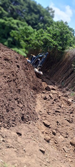 약내마을님의 자유주제 · 자유게시판 작성글 사진