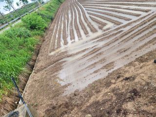 희찬(김동필)님의 콩 · 자유게시판 작성글 사진