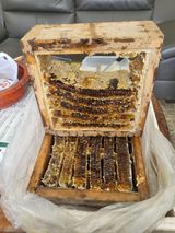 팜모닝 장마 대비 어떻게 하셨나요?·참여 게시글 이미지