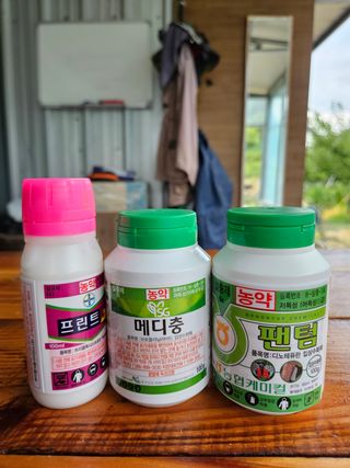 윤장원님의 자두 · 영농일지 작성글 사진