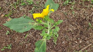 김건중님의 기타작물 · 자유게시판 작성글 사진