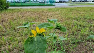 김건중님의 기타작물 · 자유게시판 작성글 사진