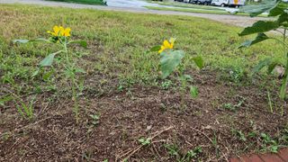 김건중님의 기타작물 · 자유게시판 작성글 사진