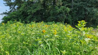김건중님의 기타작물 · 자유게시판 작성글 사진