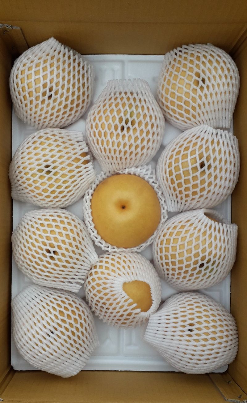 이슬농부농산님의 장터 판매 상품 [가정용 못난이 부사사과(10kg)] 첨부 사진
