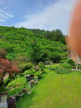 팜모닝 감·병해충상담 게시글 이미지