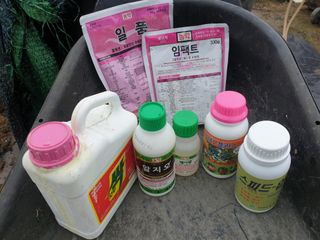 유영선님의 고추 · 영농일지 작성글 사진