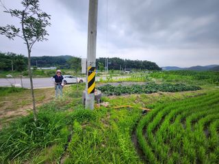 이훈정(시몬)님의 고구마 · 자유게시판 작성글 사진