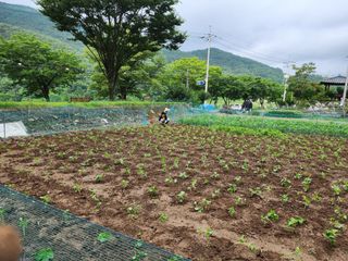 지천연님의 자유주제 · 자유게시판 작성글 사진