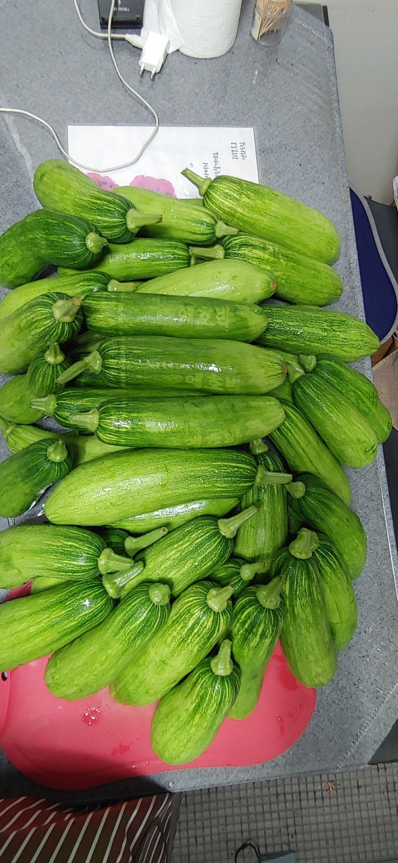 장터 상품 [애호박 1kg] 썸네일