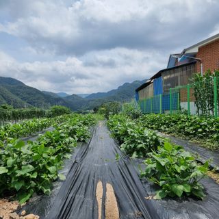 이종권님의 기타작물 · 자유게시판 작성글 사진