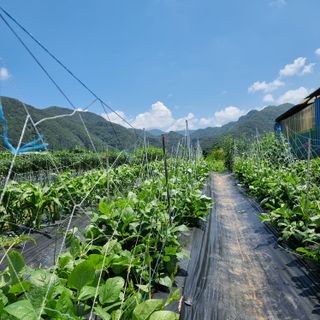 이종권님의 기타작물 · 자유게시판 작성글 사진