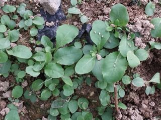 금동이네님의 기타작물 · 자유게시판 작성글 사진