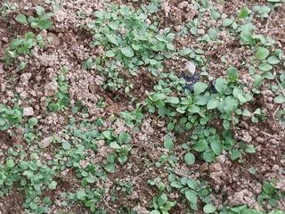 금동이네님의 기타작물 · 자유게시판 작성글 사진