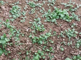 금동이네님의 기타작물 · 자유게시판 작성글 사진