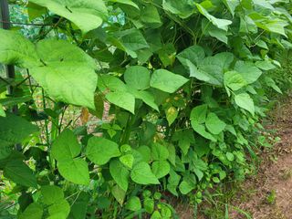 광섭님의 기타작물 · 자유게시판 작성글 사진