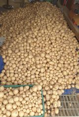 팜모닝 · 게시글 이미지