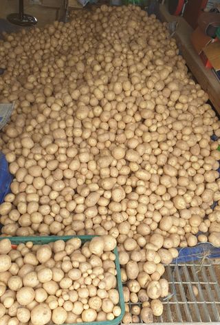 Yejak님의 작성글 사진