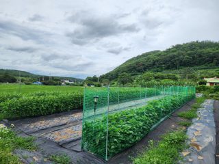 김문구님의 장마 대비 어떻게 하셨나요? · 참여 작성글 사진