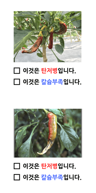 팜모닝 농자재정보님의 팜모닝공식 · 농사정보 작성글 사진