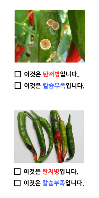 팜모닝 농자재정보님의 팜모닝공식 · 농사정보 작성글 사진