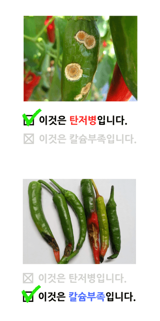 팜모닝 농자재정보님의 팜모닝공식 · 농사정보 작성글 사진