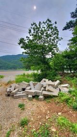 팜모닝 자유주제·자유게시판 게시글 이미지