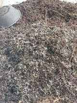 팜모닝 자유주제·건의해요 게시글 이미지