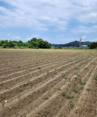 황소4님의 콩 · 자유게시판 작성글 사진