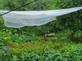 고갑윤님의 장마 대비 어떻게 하셨나요? · 참여 작성글 사진