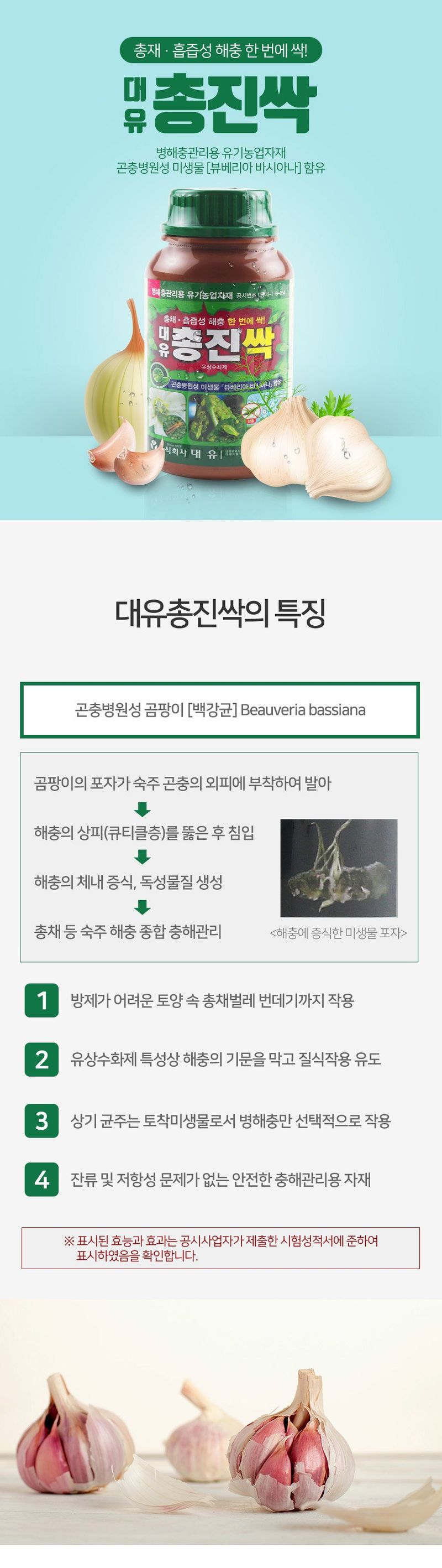 식물보호닷컴님의 장터 판매 상품 [대유 총진싹 ] 첨부 사진