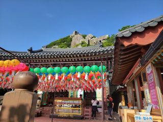 두릅나무21475님의 장마 대비 어떻게 하셨나요? · 참여 작성글 사진