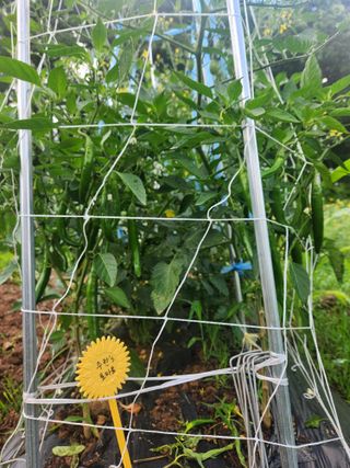 친절한금자씨님의 장마 대비 어떻게 하셨나요? · 참여 작성글 사진