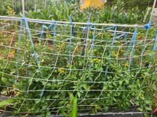 친절한금자씨님의 장마 대비 어떻게 하셨나요? · 참여 작성글 사진