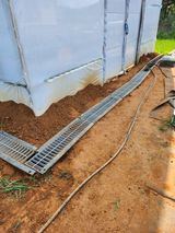 팜모닝 장마 대비 어떻게 하셨나요?·참여 게시글 이미지