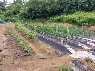 해안로님의 자유주제 · 자유게시판 작성글 사진