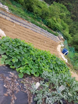 해안로님의 자유주제 · 자유게시판 작성글 사진